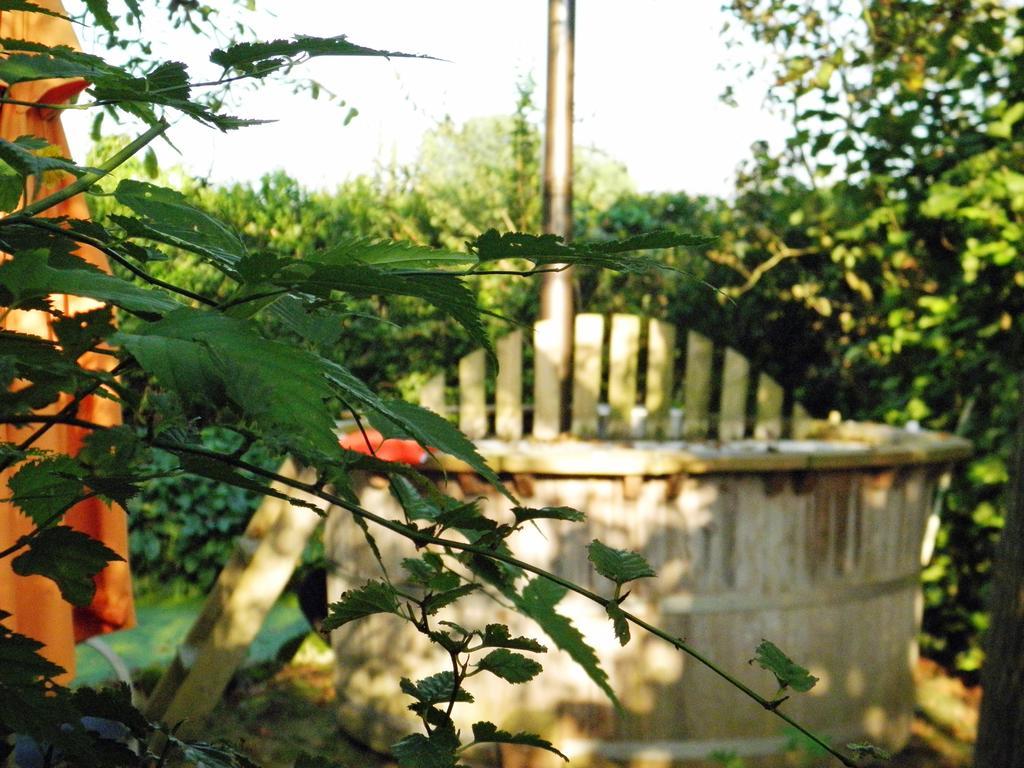 Bed & Breakfast Hofstede Het Klaphek Randwijk Cameră foto
